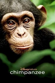 مستند شامپانزه   Chimpanzee