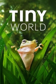 مستند دنیای کوچک   Tiny World